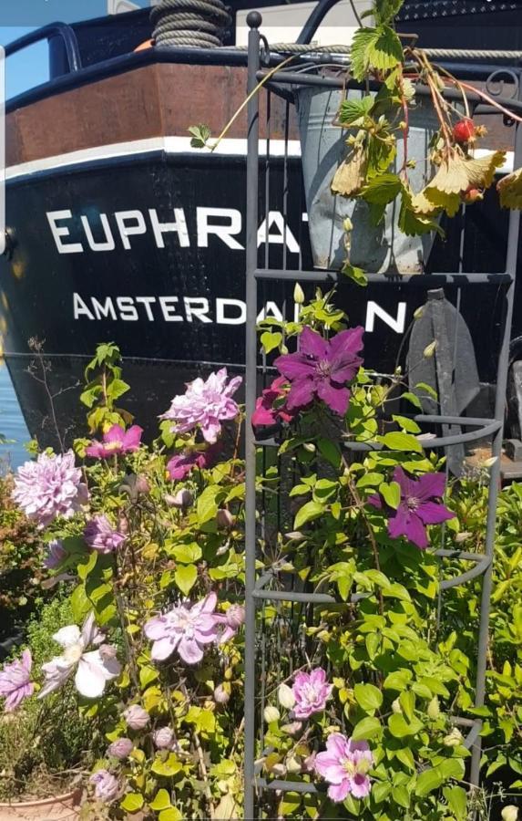 Bed and Breakfast Wheelhouse Euphrate Houseboat Diemerbrug Zewnętrze zdjęcie