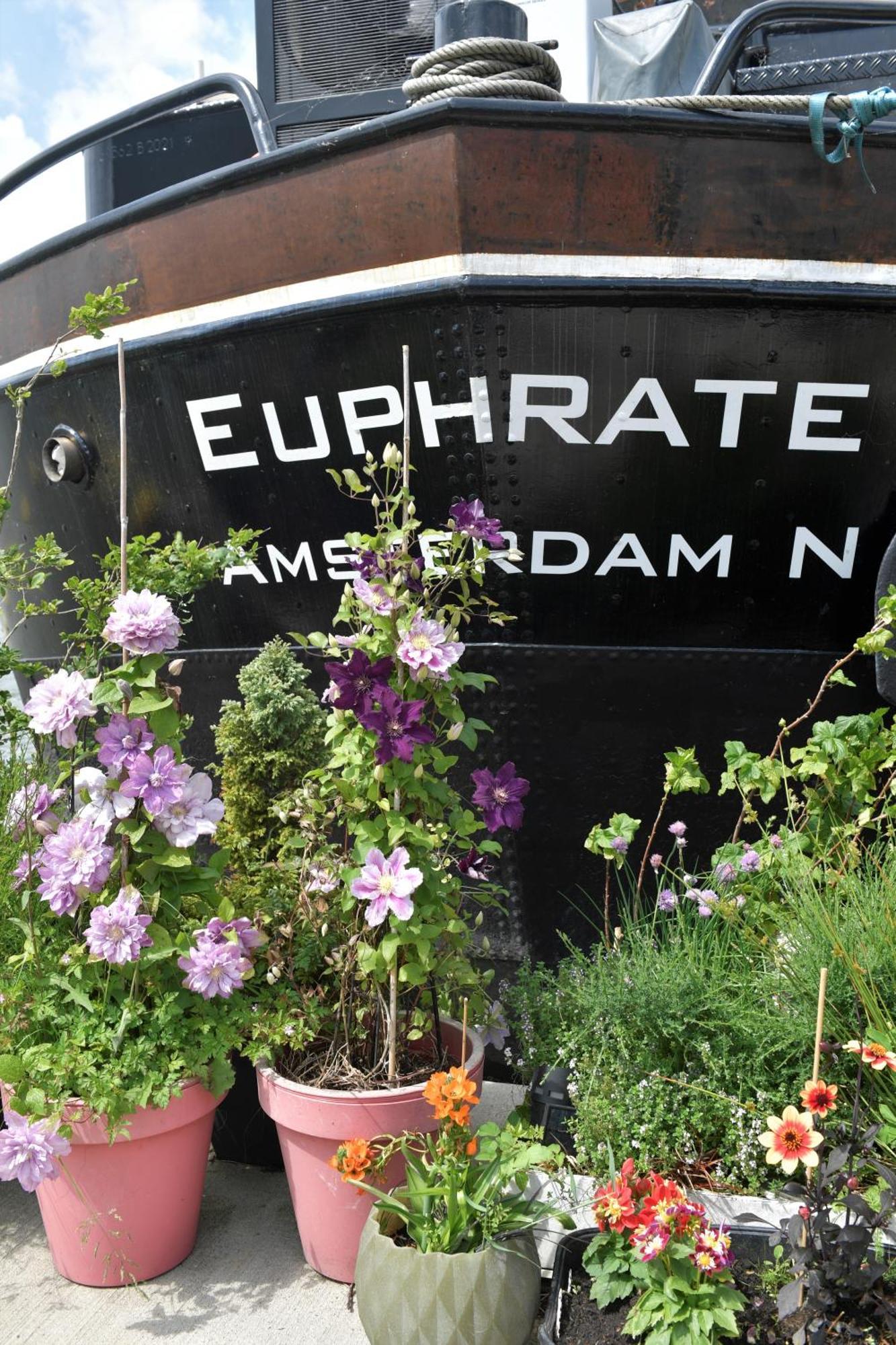 Bed and Breakfast Wheelhouse Euphrate Houseboat Diemerbrug Zewnętrze zdjęcie